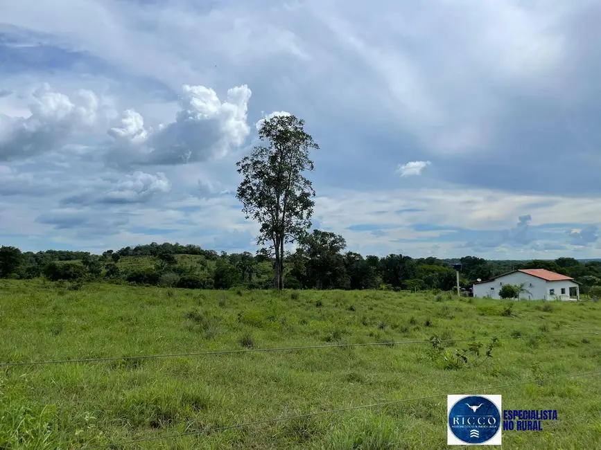 Foto 2 de Fazenda / Haras à venda, 50m2 em Sao Miguel Do Araguaia - GO