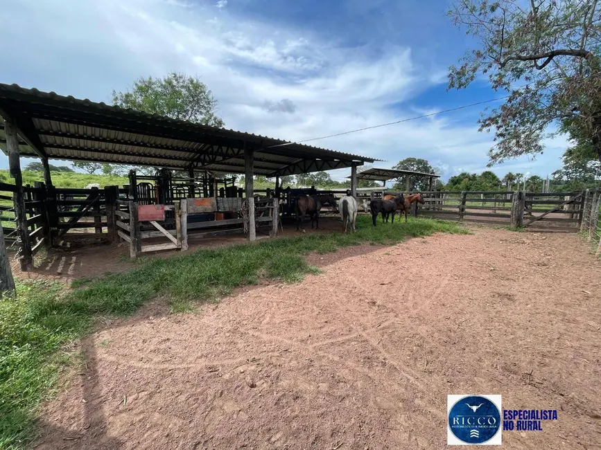Foto 5 de Fazenda / Haras com 4 quartos à venda, 50m2 em Sao Miguel Do Araguaia - GO