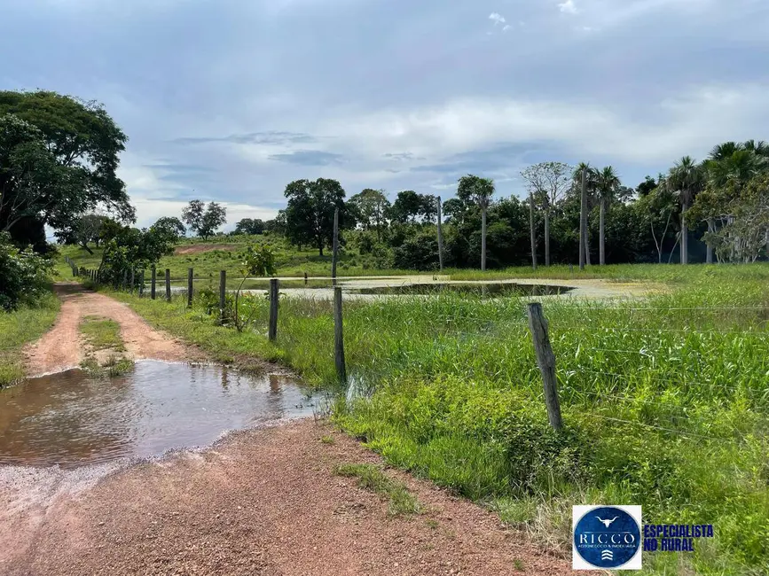 Foto 9 de Fazenda / Haras com 4 quartos à venda, 50m2 em Sao Miguel Do Araguaia - GO