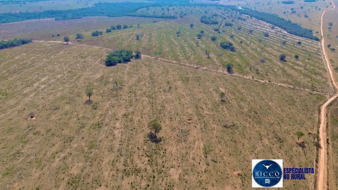 Foto 7 de Fazenda / Haras com 4 quartos à venda, 974m2 em Serranopolis - GO