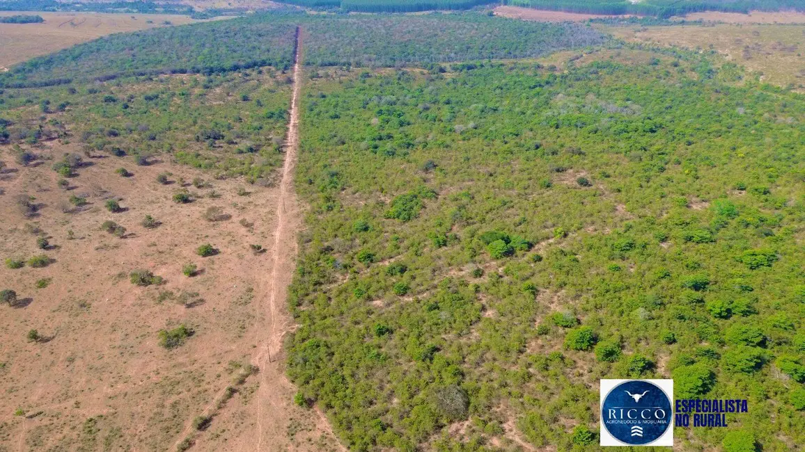 Foto 6 de Fazenda / Haras com 4 quartos à venda, 974m2 em Serranopolis - GO