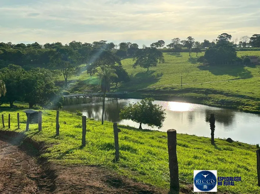 Foto 1 de Fazenda / Haras com 5 quartos à venda, 53m2 em Senador Canedo - GO