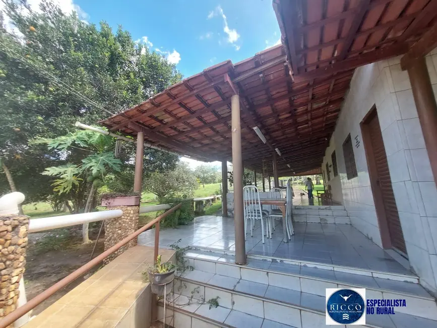 Fazenda / Haras com 5 quartos à venda, 53m2 em Senador Canedo - GO - imagem 8 Foto 8 de Fazenda / Haras com 5 quartos à venda, 53m2 em Senador Canedo - GO