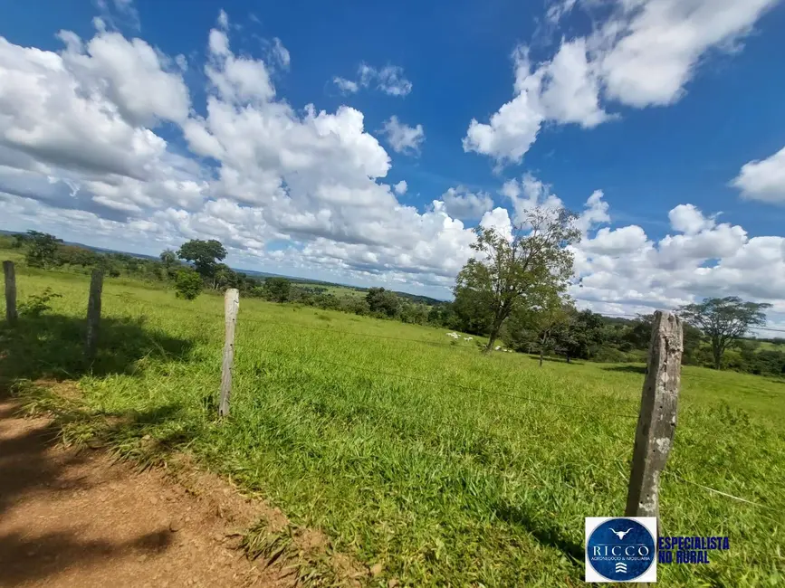 Fazenda / Haras com 5 quartos à venda, 53m2 em Senador Canedo - GO - imagem 3 Foto 3 de Fazenda / Haras com 5 quartos à venda, 53m2 em Senador Canedo - GO