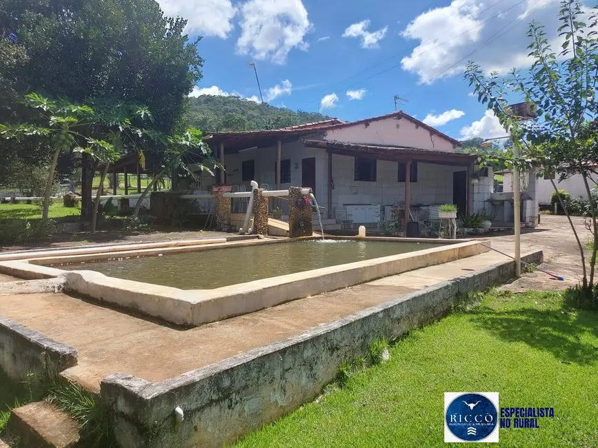 Fazenda / Haras com 5 quartos à venda, 53m2 em Senador Canedo - GO - imagem 4 Foto 4 de Fazenda / Haras com 5 quartos à venda, 53m2 em Senador Canedo - GO