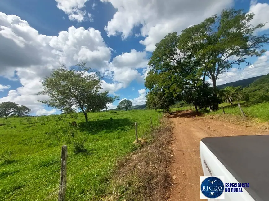 Fazenda / Haras com 5 quartos à venda, 53m2 em Senador Canedo - GO - imagem 5 Foto 5 de Fazenda / Haras com 5 quartos à venda, 53m2 em Senador Canedo - GO