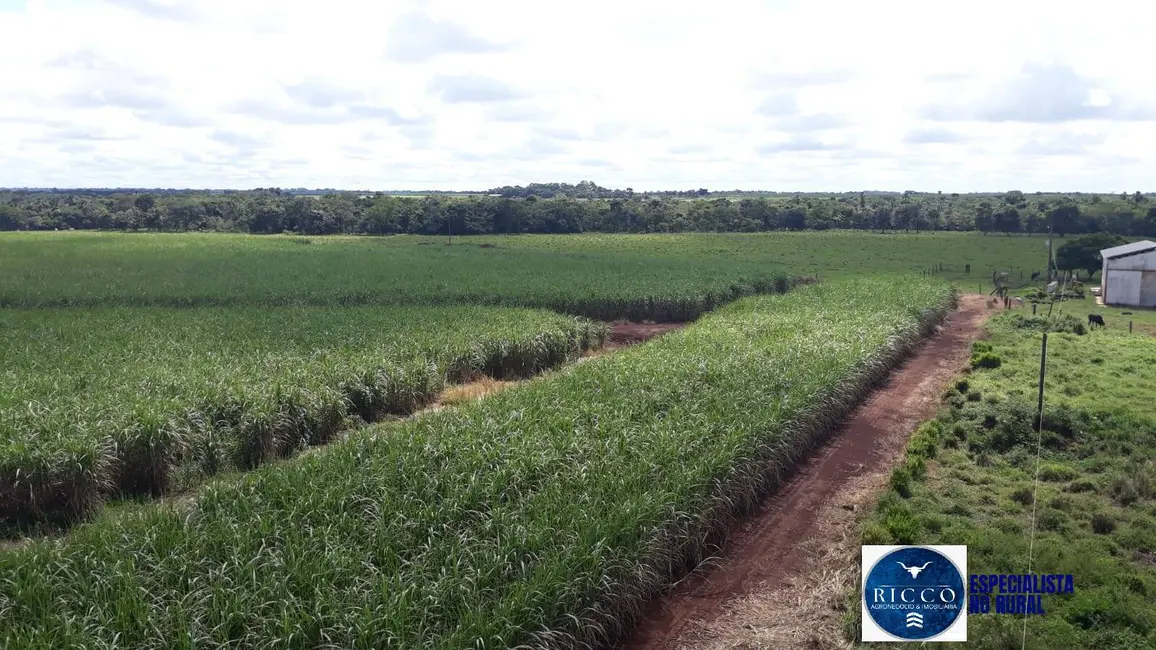 Foto 1 de Fazenda / Haras à venda, 41m2 em Acreuna - GO