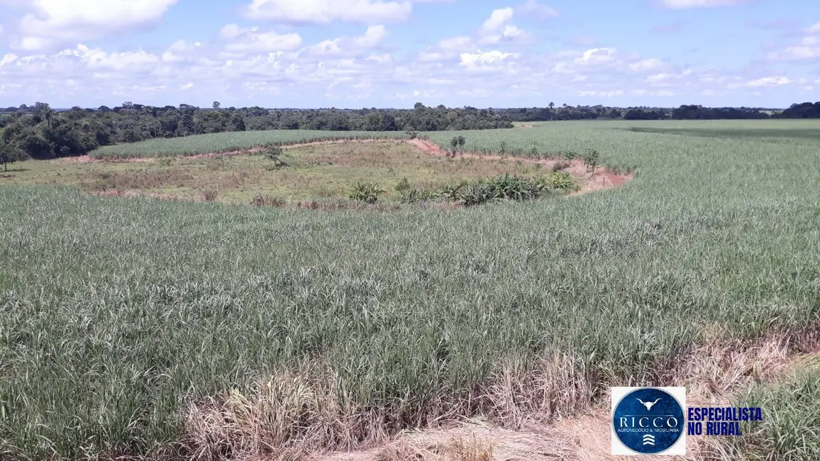 Fazenda / Haras à venda, 41m2 em Acreuna - GO - imagem 3 Foto 3 de Fazenda / Haras à venda, 41m2 em Acreuna - GO