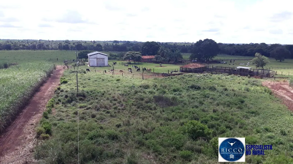Foto 2 de Fazenda / Haras à venda, 41m2 em Acreuna - GO