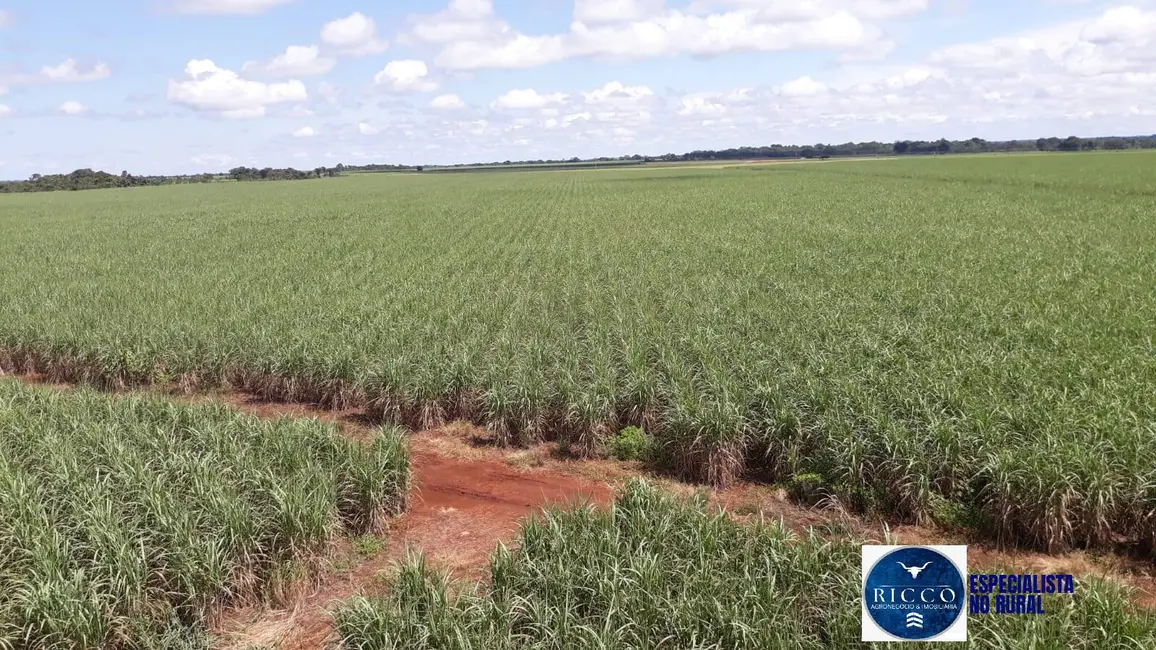 Fazenda / Haras à venda, 41m2 em Acreuna - GO - imagem 4 Foto 4 de Fazenda / Haras à venda, 41m2 em Acreuna - GO