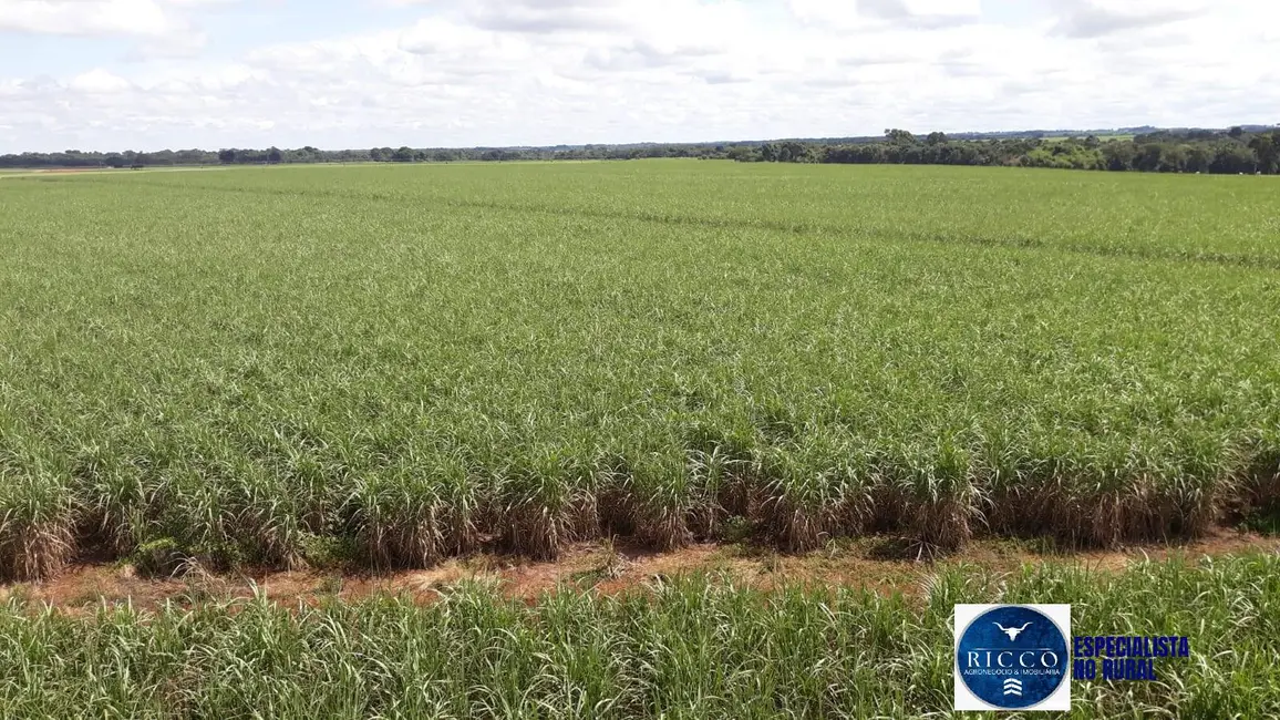 Fazenda / Haras à venda, 41m2 em Acreuna - GO - imagem 5 Foto 5 de Fazenda / Haras à venda, 41m2 em Acreuna - GO