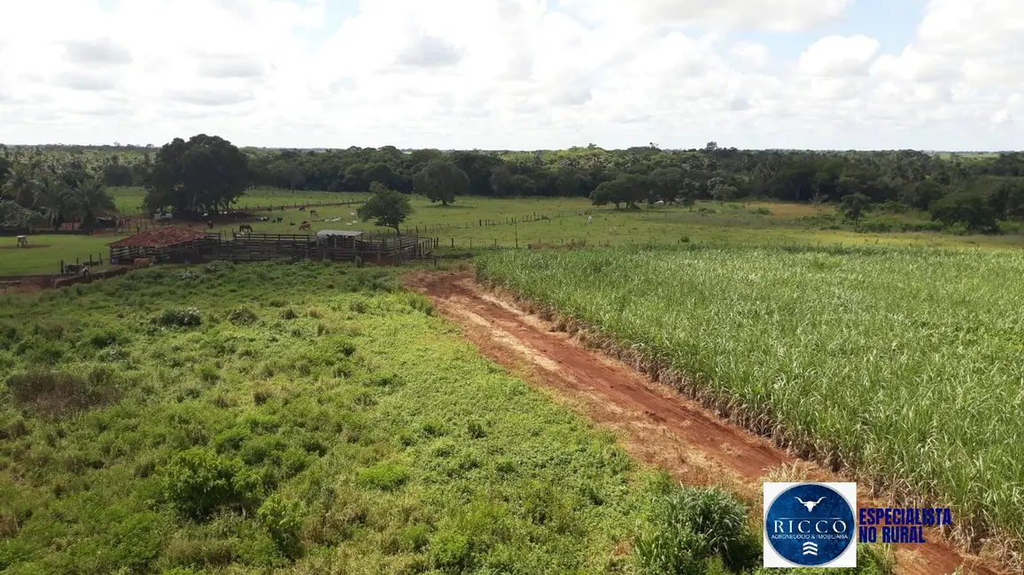 Fazenda / Haras à venda, 41m2 em Acreuna - GO - imagem 6 Foto 6 de Fazenda / Haras à venda, 41m2 em Acreuna - GO