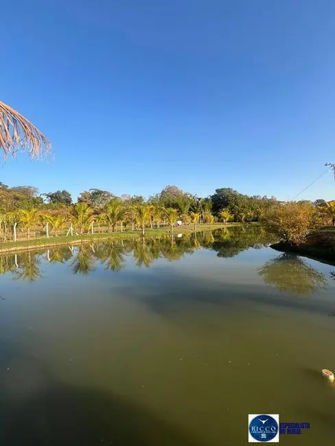 Chácara à venda, 7000m2 em Guapo - GO - imagem 9 Foto 9 de Chácara à venda, 7000m2 em Guapo - GO