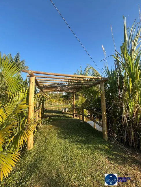 Chácara à venda, 7000m2 em Guapo - GO - imagem 8 Foto 8 de Chácara à venda, 7000m2 em Guapo - GO