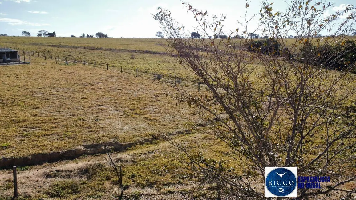 Foto 4 de Fazenda / Haras com 4 quartos à venda, 30m2 em Itapuranga - GO