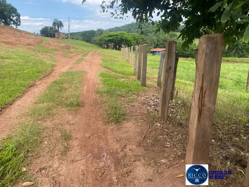 Foto 9 de Chácara à venda em Taquaral De Goias - GO