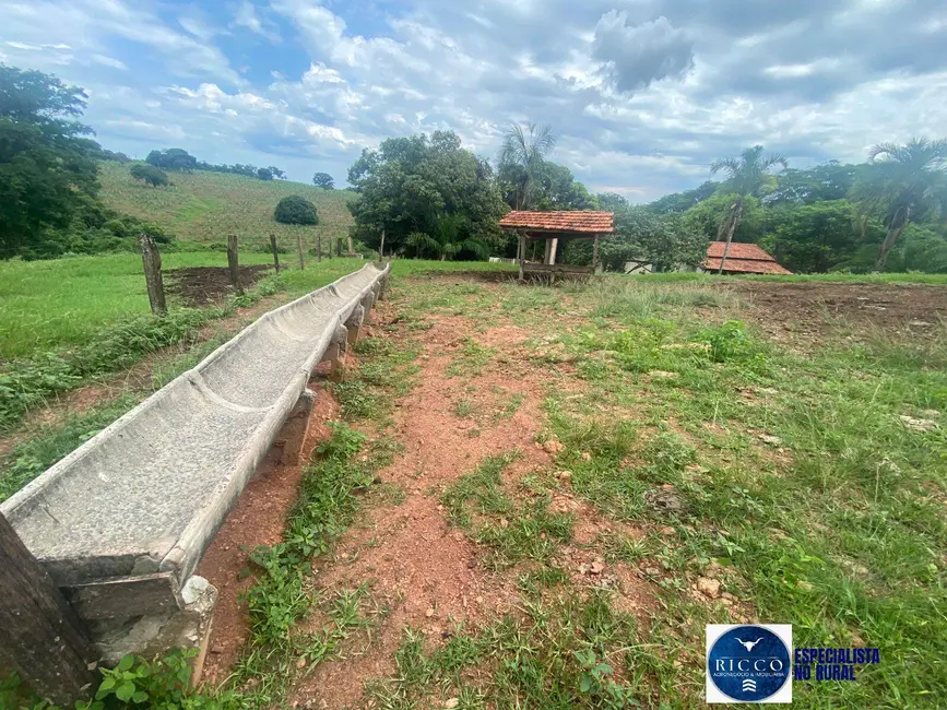 Foto 2 de Chácara à venda em Taquaral De Goias - GO