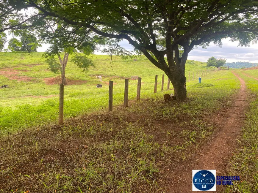 Foto 6 de Chácara à venda em Taquaral De Goias - GO