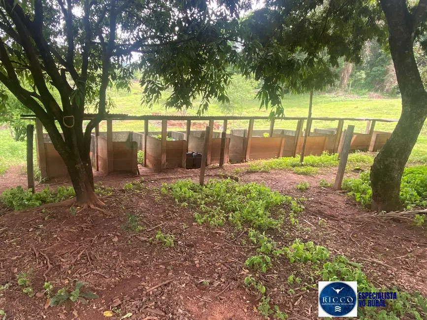 Foto 5 de Chácara à venda em Taquaral De Goias - GO