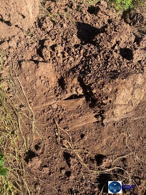 Foto 8 de Chácara com 3 quartos à venda, 12m2 em Taquaral De Goias - GO