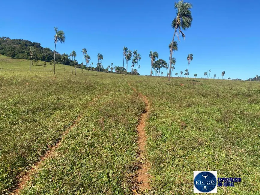 Foto 6 de Chácara com 3 quartos à venda, 12m2 em Taquaral De Goias - GO