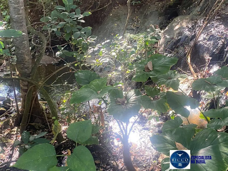 Foto 5 de Chácara com 3 quartos à venda, 12m2 em Taquaral De Goias - GO