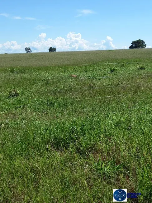 Foto 1 de Fazenda / Haras à venda, 1161m2 em Pontal Do Araguaia - MT