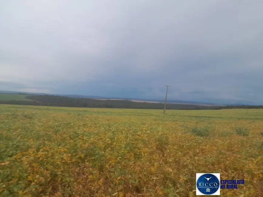 Foto 1 de Fazenda / Haras à venda, 188m2 em Ribeiraozinho - MT