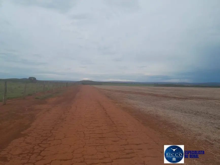 Foto 2 de Fazenda / Haras à venda, 188m2 em Ribeiraozinho - MT
