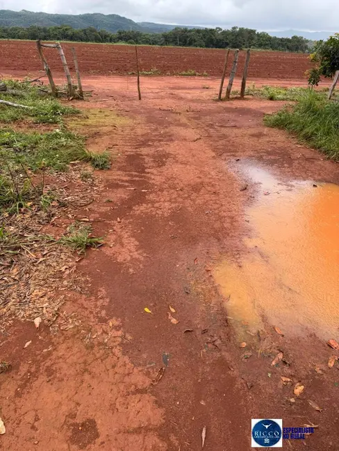 Foto 2 de Fazenda / Haras à venda, 390m2 em Paraiso Do Tocantins - TO