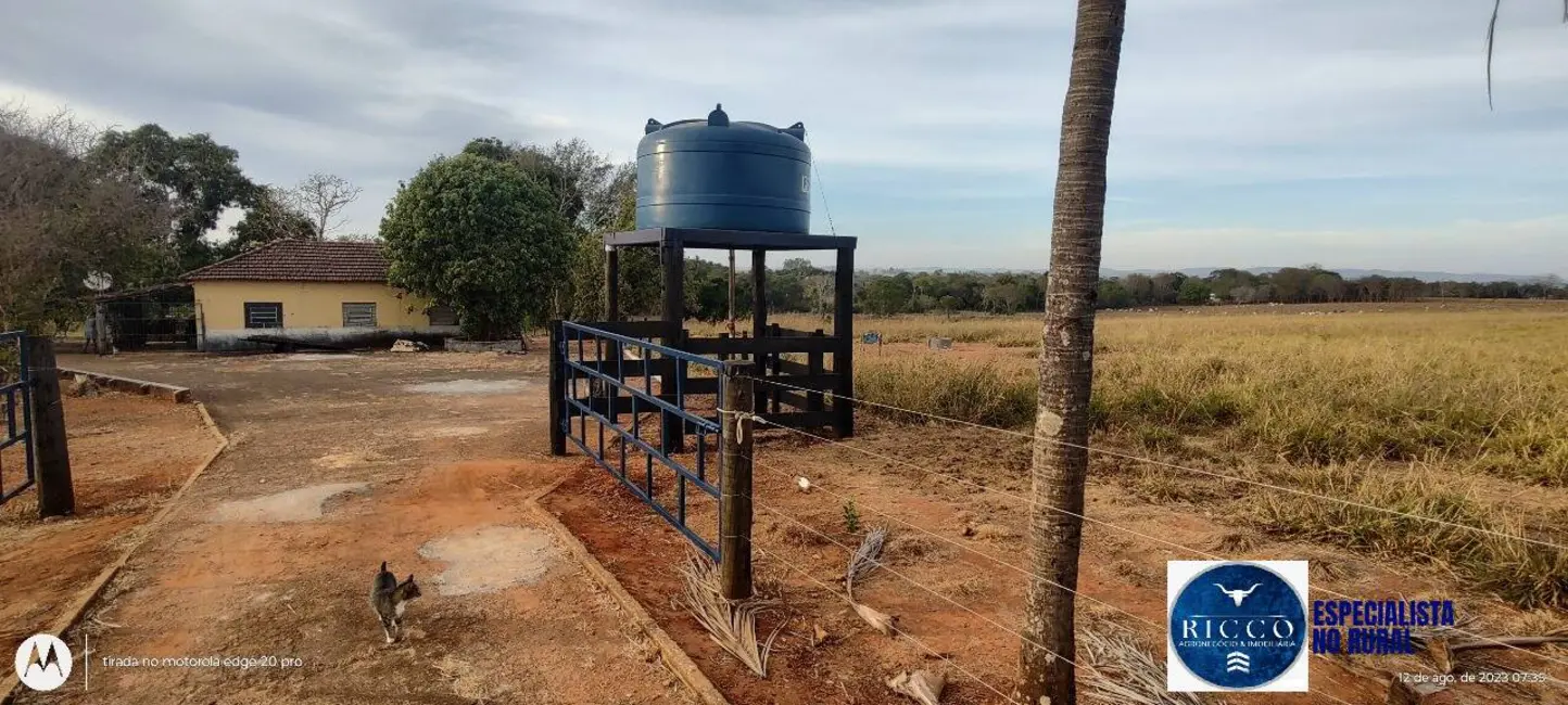 Foto 11 de Chácara à venda em Uruana - GO