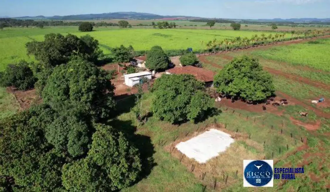 Foto 10 de Chácara à venda em Uruana - GO