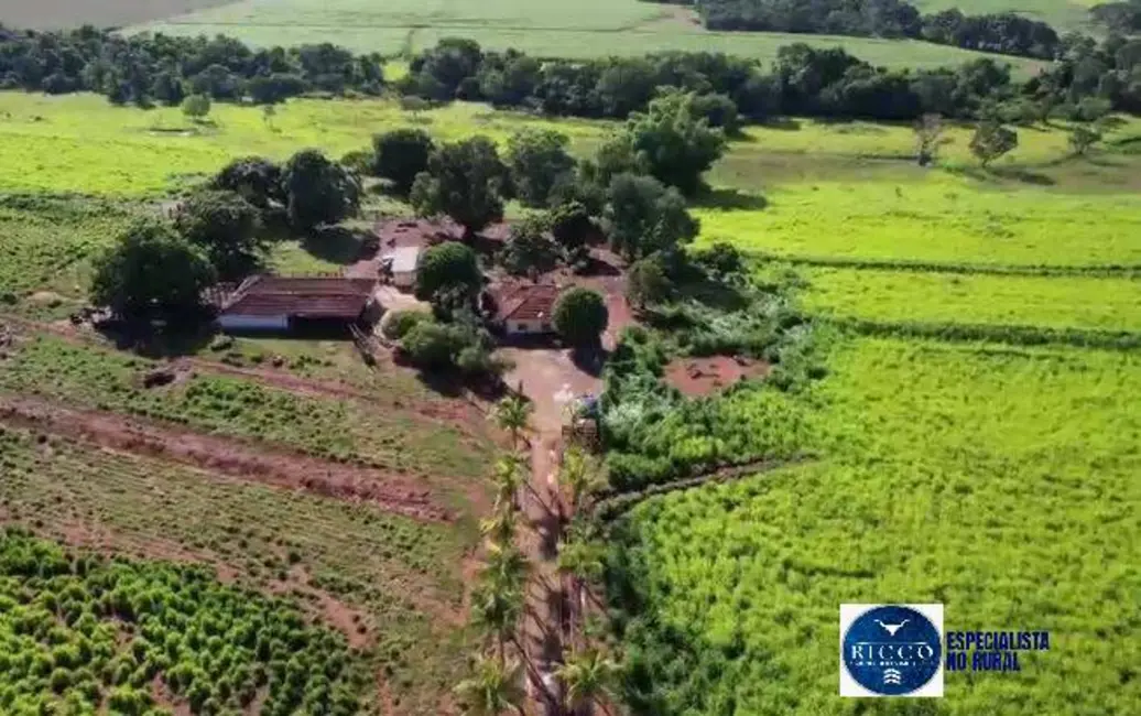 Chácara à venda em Uruana - GO - imagem 8 Foto 8 de Chácara à venda em Uruana - GO