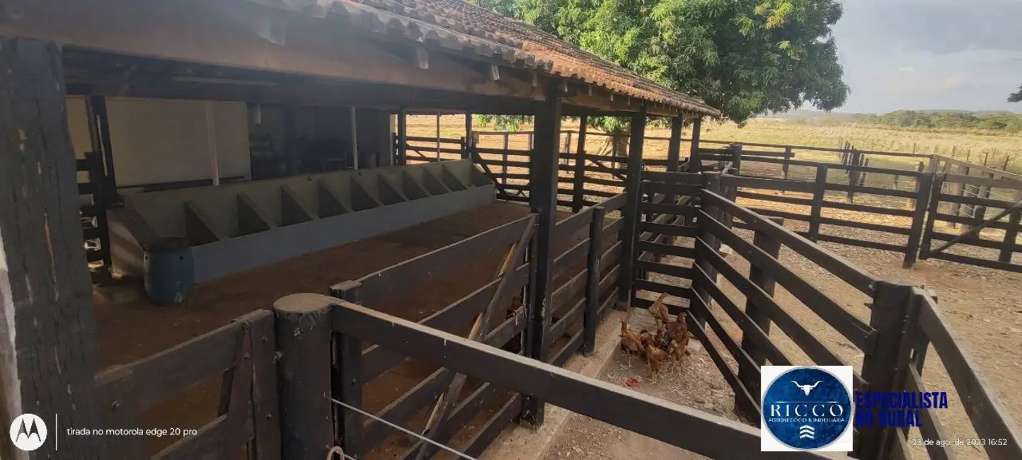 Chácara à venda em Uruana - GO - imagem 4 Foto 4 de Chácara à venda em Uruana - GO