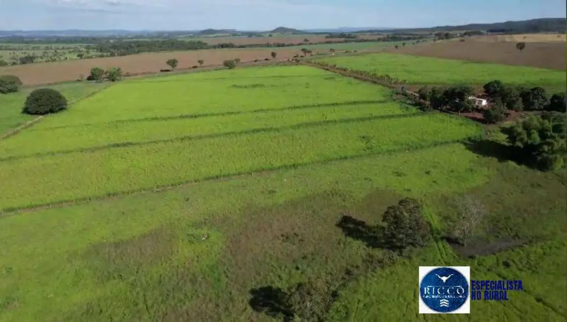 Chácara à venda em Uruana - GO - imagem 9 Foto 9 de Chácara à venda em Uruana - GO