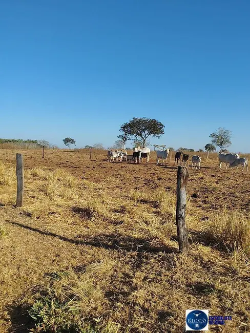 Foto 1 de Fazenda / Haras à venda, 140m2 em Bom Jardim De Goias - GO