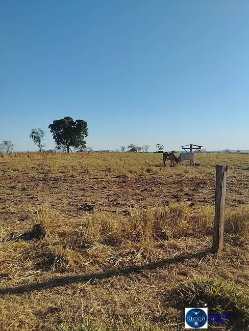 Foto 2 de Fazenda / Haras à venda, 140m2 em Bom Jardim De Goias - GO