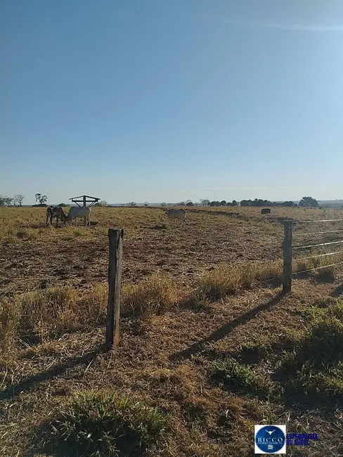 Foto 4 de Fazenda / Haras à venda, 140m2 em Bom Jardim De Goias - GO