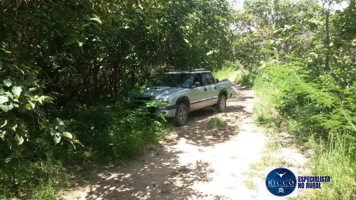 Fazenda / Haras à venda, 500m2 em Arraias - TO - imagem 4 Foto 4 de Fazenda / Haras à venda, 500m2 em Arraias - TO
