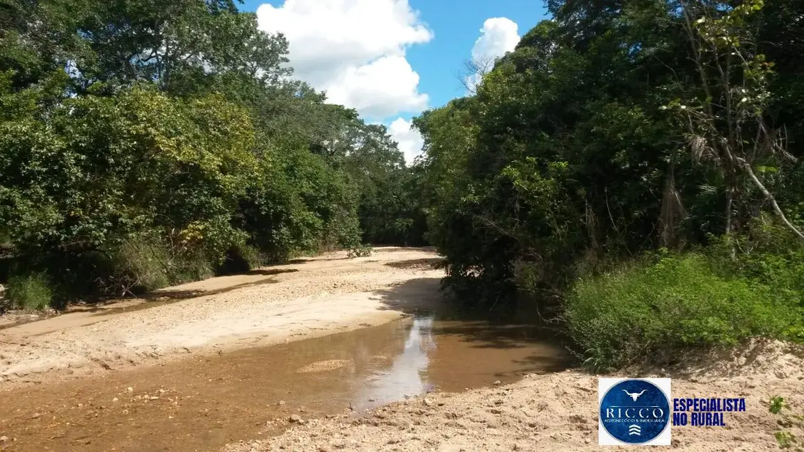 Fazenda / Haras à venda, 500m2 em Arraias - TO - imagem 1 Foto 1 de Fazenda / Haras à venda, 500m2 em Arraias - TO