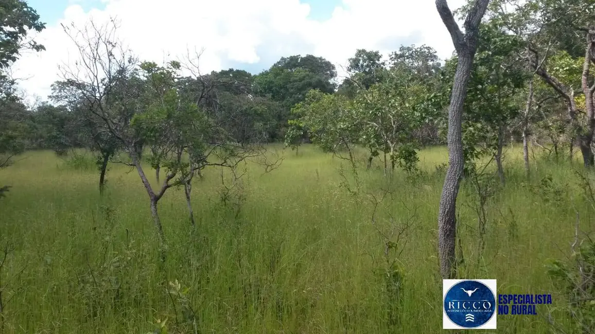 Fazenda / Haras à venda, 500m2 em Arraias - TO - imagem 3 Foto 3 de Fazenda / Haras à venda, 500m2 em Arraias - TO