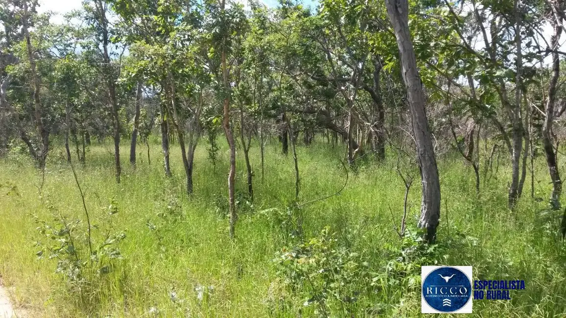 Fazenda / Haras à venda, 500m2 em Arraias - TO - imagem 2 Foto 2 de Fazenda / Haras à venda, 500m2 em Arraias - TO