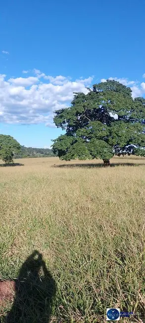 Foto 1 de Chácara à venda em Sao Francisco De Goias - GO