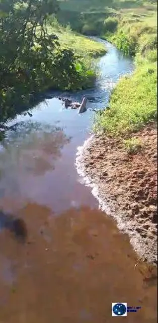 Foto 5 de Chácara à venda em Sao Francisco De Goias - GO
