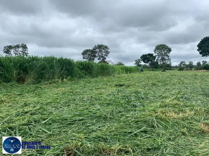 Foto 8 de Fazenda / Haras com 4 quartos à venda, 100m2 em Sao Miguel Do Araguaia - GO