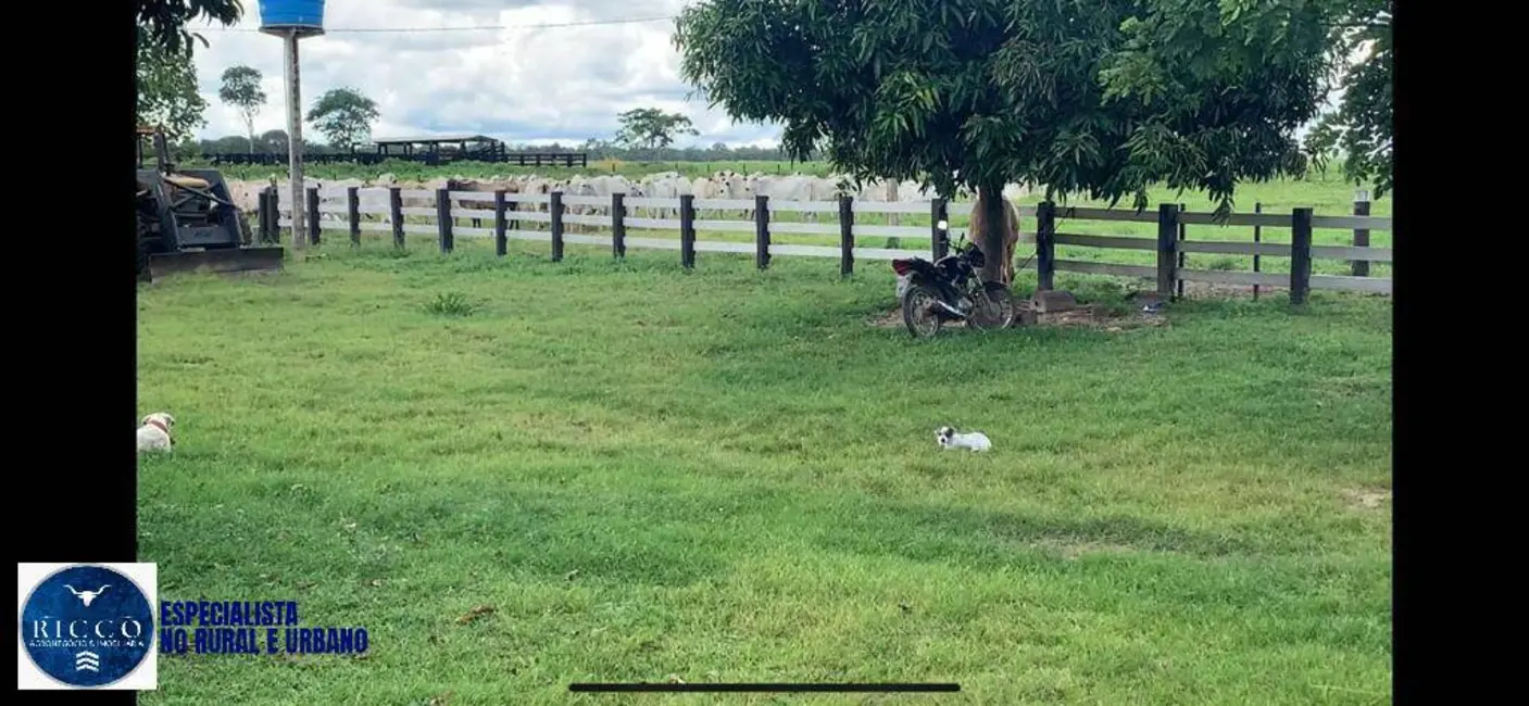 Foto 4 de Fazenda / Haras com 4 quartos à venda, 100m2 em Sao Miguel Do Araguaia - GO
