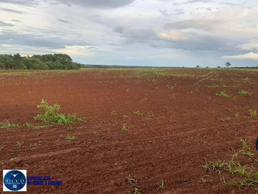 Foto 2 de Fazenda / Haras com 4 quartos à venda, 100m2 em Sao Miguel Do Araguaia - GO