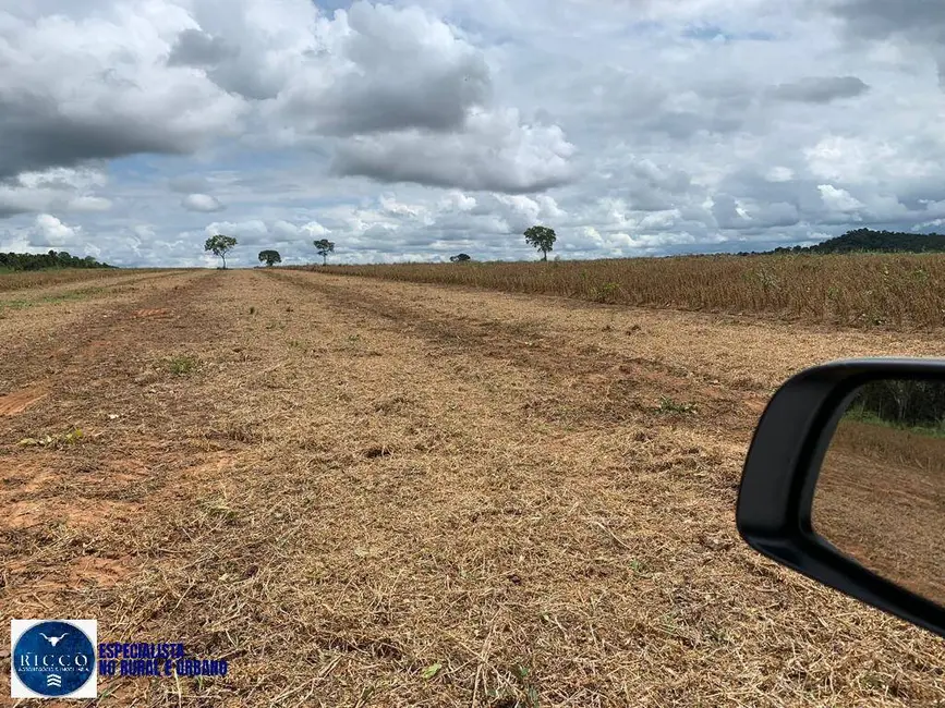 Foto 6 de Fazenda / Haras com 4 quartos à venda, 100m2 em Sao Miguel Do Araguaia - GO