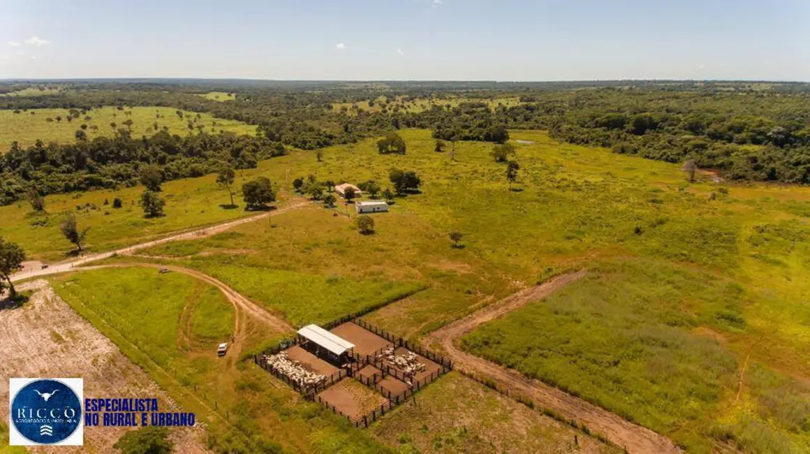 Foto 1 de Fazenda / Haras com 4 quartos à venda, 100m2 em Sao Miguel Do Araguaia - GO