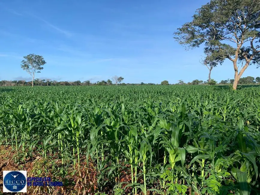 Foto 9 de Fazenda / Haras com 4 quartos à venda, 100m2 em Sao Miguel Do Araguaia - GO